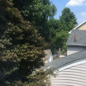 Meet your Posher, Maggie